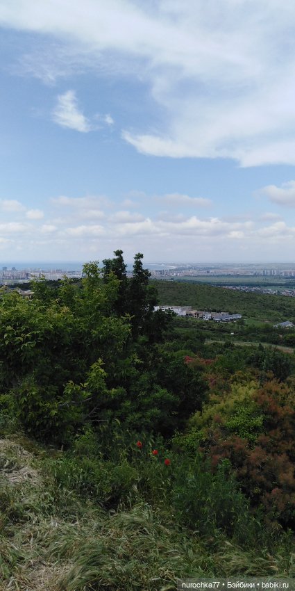 Лето бывает разным — Куклы Baboliy (Баболи