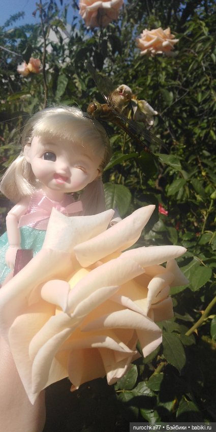 Лето бывает разным — Куклы Baboliy (Баболи (фото 2)