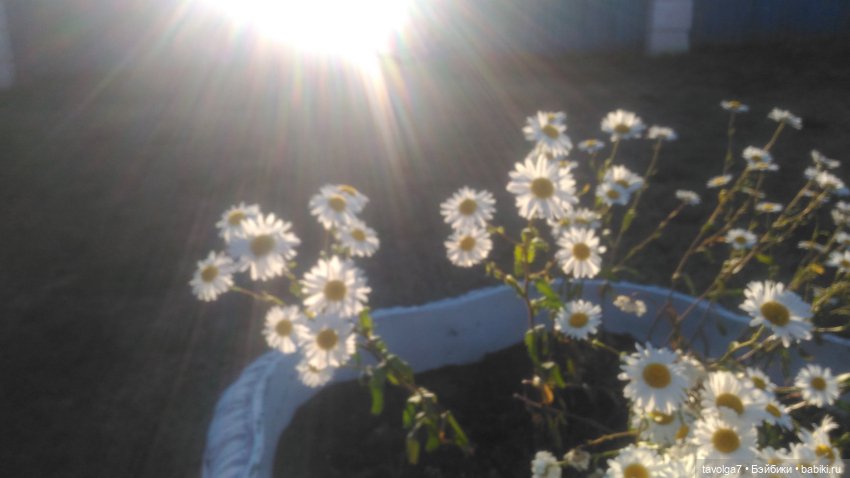 Азиатские виниловые куклы (разное): Китай