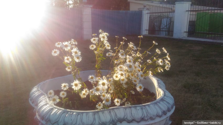 Азиатские виниловые куклы (разное): Китай