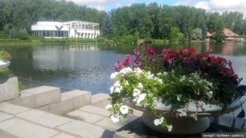 Азиатские виниловые куклы (разное): Китай