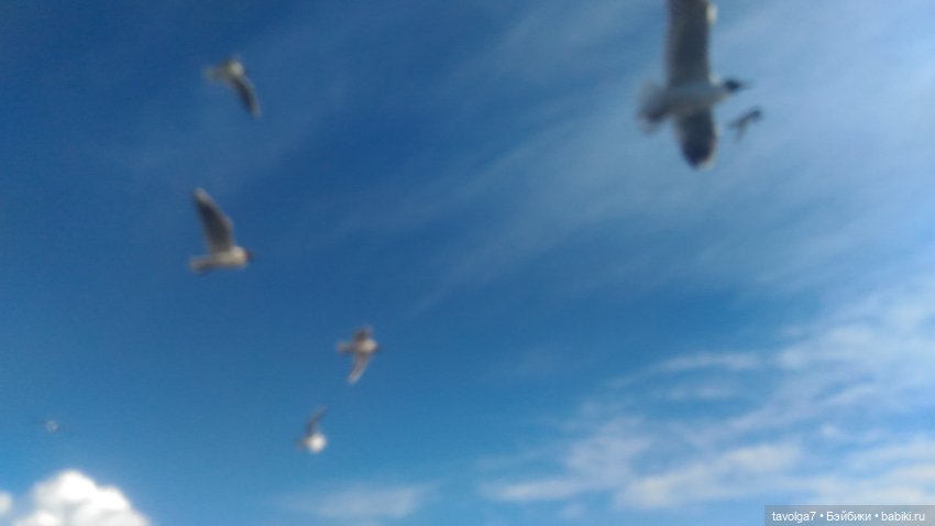 Азиатские виниловые куклы (разное): Китай