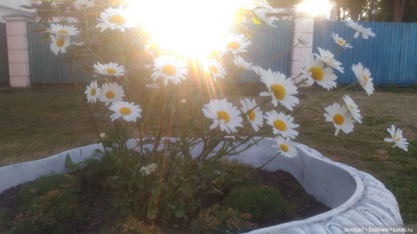 Азиатские виниловые куклы (разное): Китай