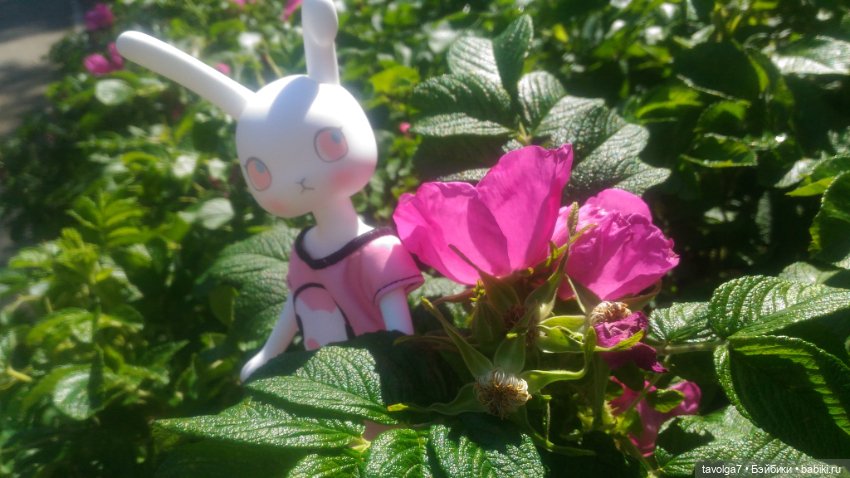 Азиатские виниловые куклы (разное): Китай