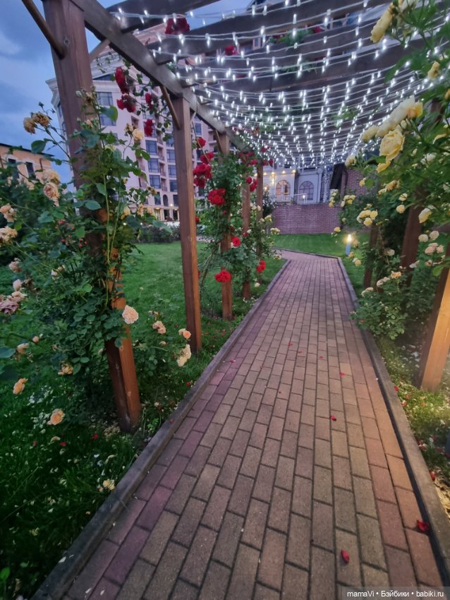 Розы. Солнце. Кисловодск — Туризм и путешествия: фотоотчеты из поездок