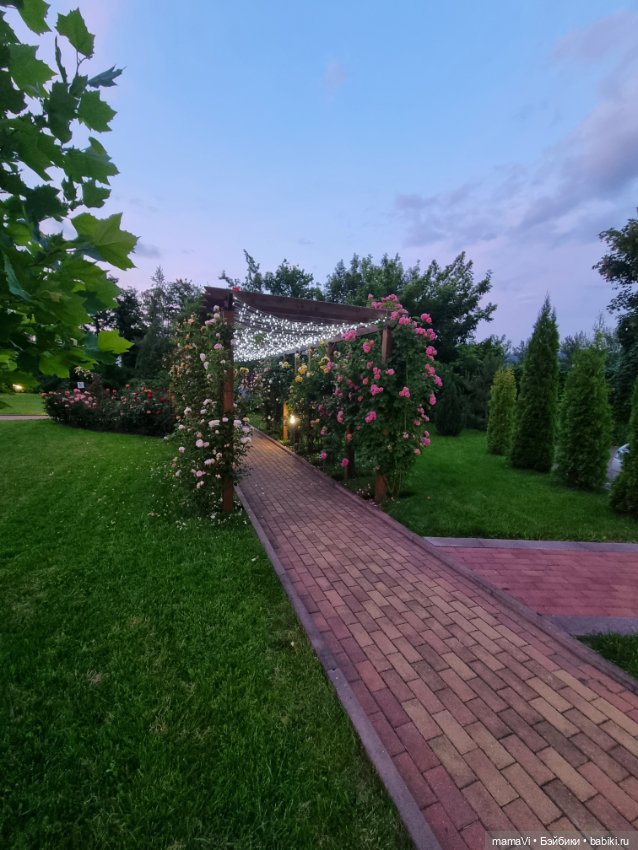 Розы. Солнце. Кисловодск — Туризм и путешествия: фотоотчеты из поездок