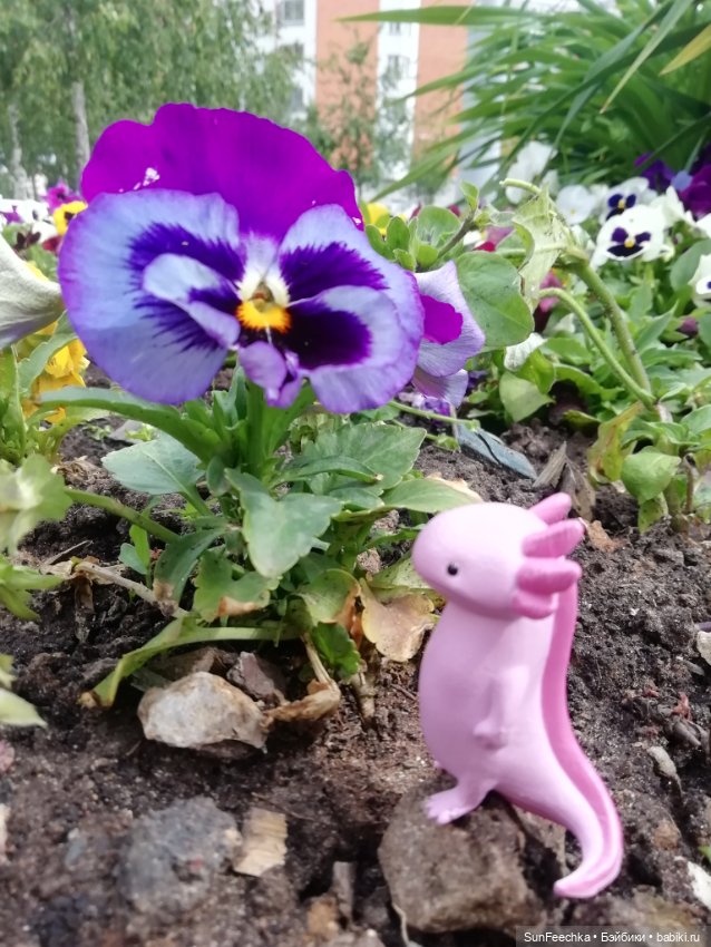 Кака в лете — Интересные игрушки и фигурки (разное): редкие (фото 5)