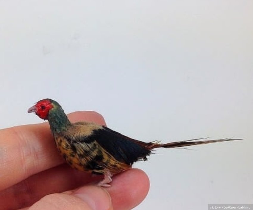 Птички в миниатюре 1:12 — Кукольная миниатюра своими руками: еда (фото 10)