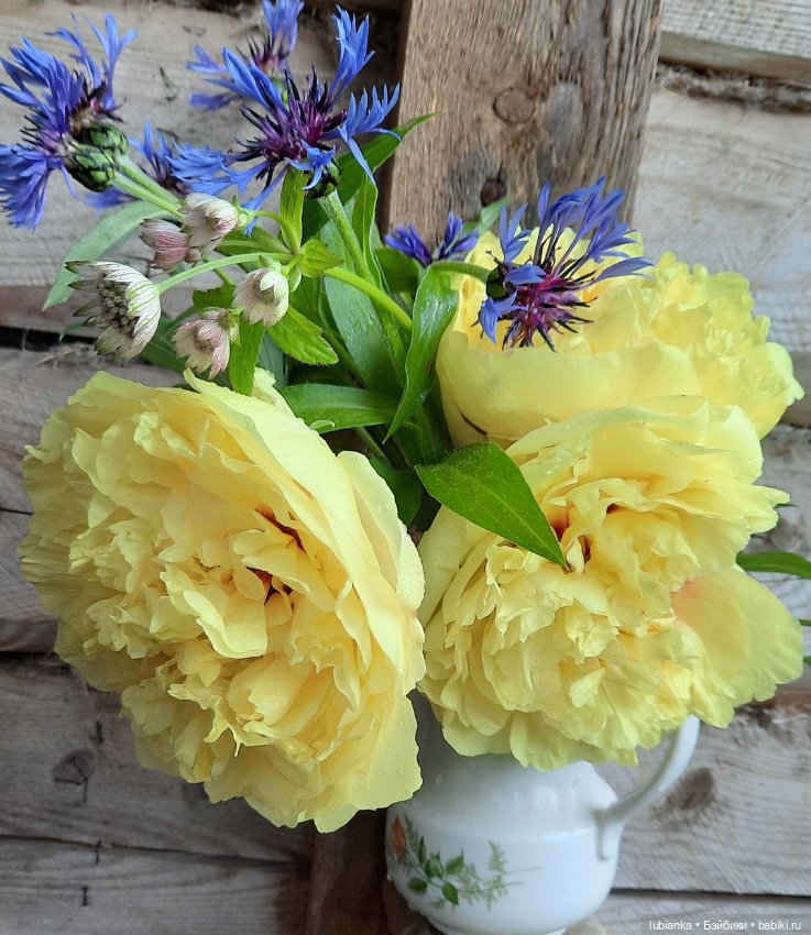 Жёлтое и красное💛❤ — Винтажные куклы ГДР (Немки): Бигги