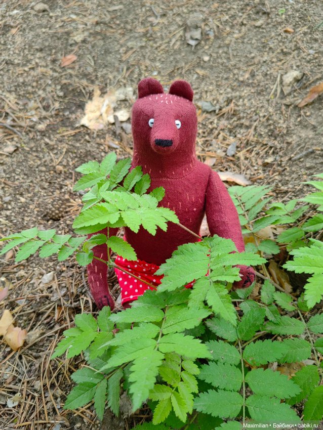 Медведь Степан — Авторские мишки Тедди и друзья: фото (фото 10)