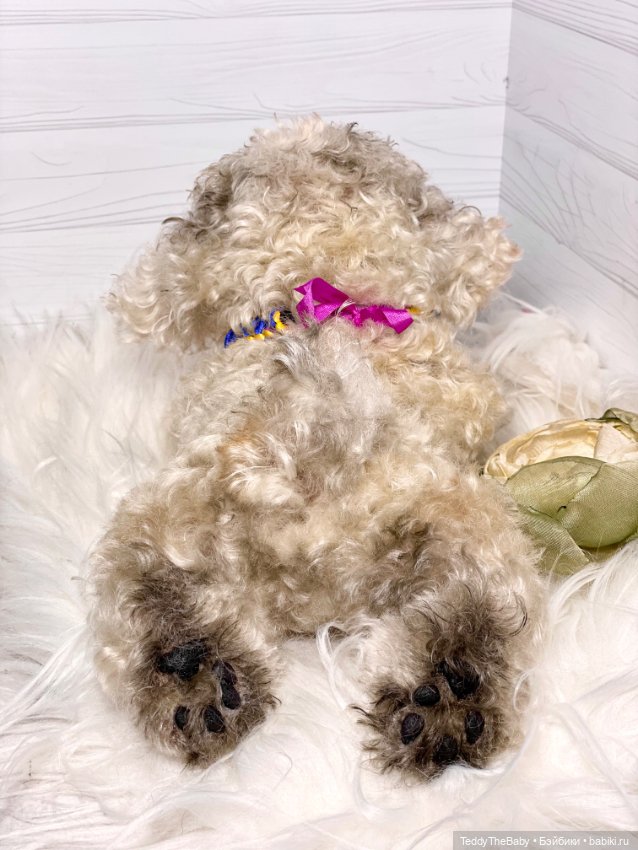 Хати 🐶🐾🐾🐾 — Реалистичные игрушки и звери (Натюр): собаки