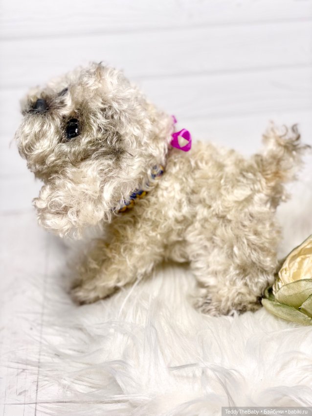 Хати 🐶🐾🐾🐾 — Реалистичные игрушки и звери (Натюр): собаки