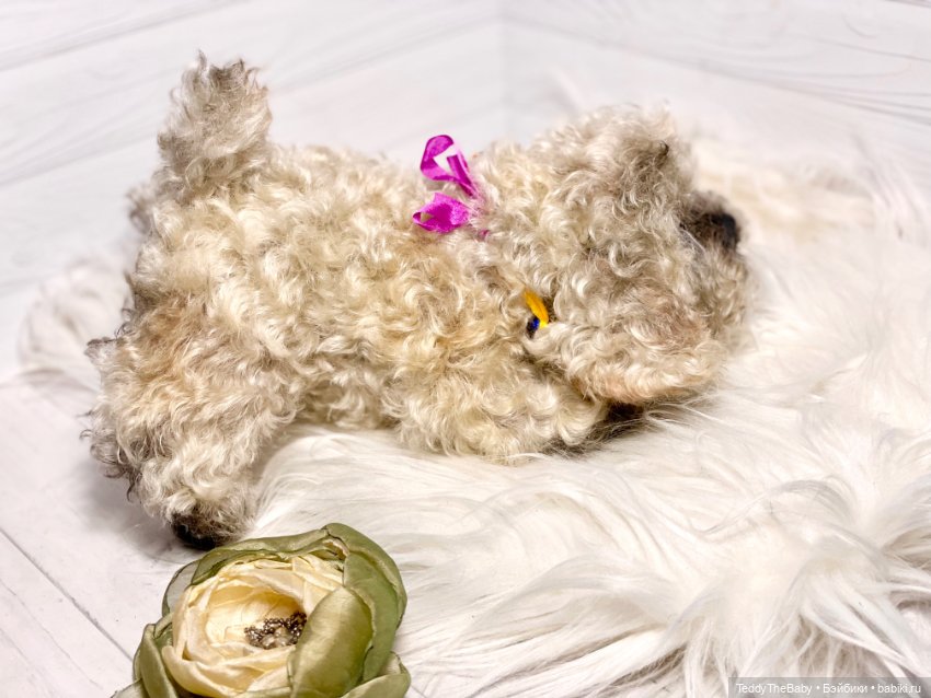 Хати 🐶🐾🐾🐾 — Реалистичные игрушки и звери (Натюр): собаки