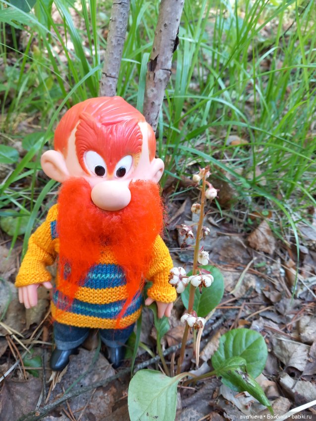 Раз грибочек, два грибочек