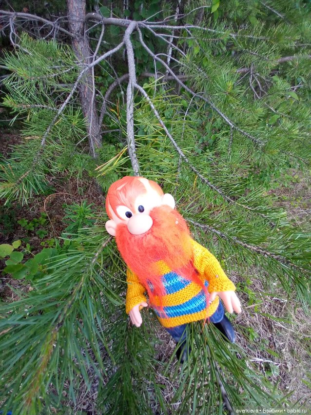 Раз грибочек, два грибочек