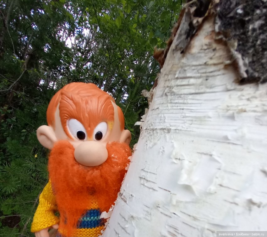 Раз грибочек, два грибочек