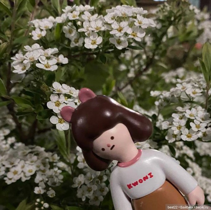 И снова Kwoni… — Игровые куклы разных производителей (Разное): редкие бренды