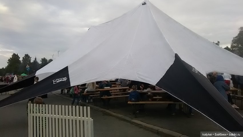 Рыбы есть? А если найду? Гром в День Города