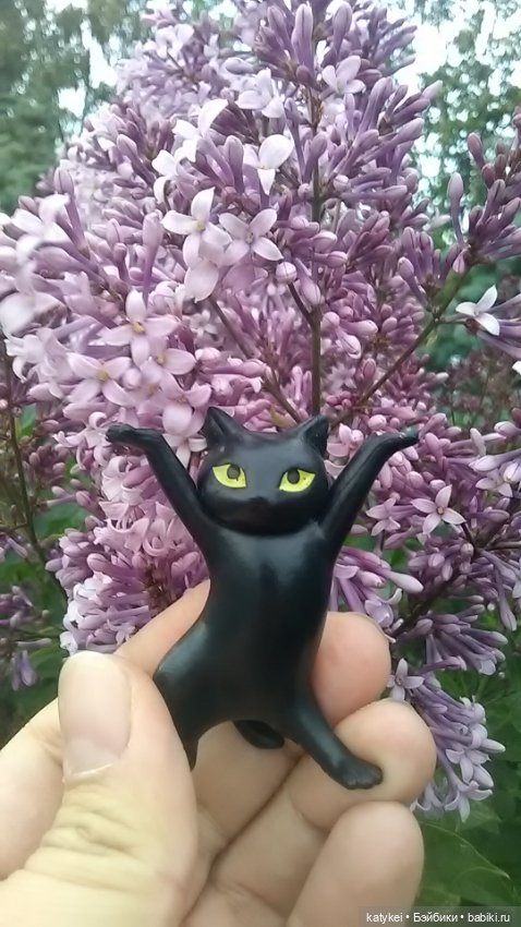 Рыбы есть? А если найду? Гром в День Города