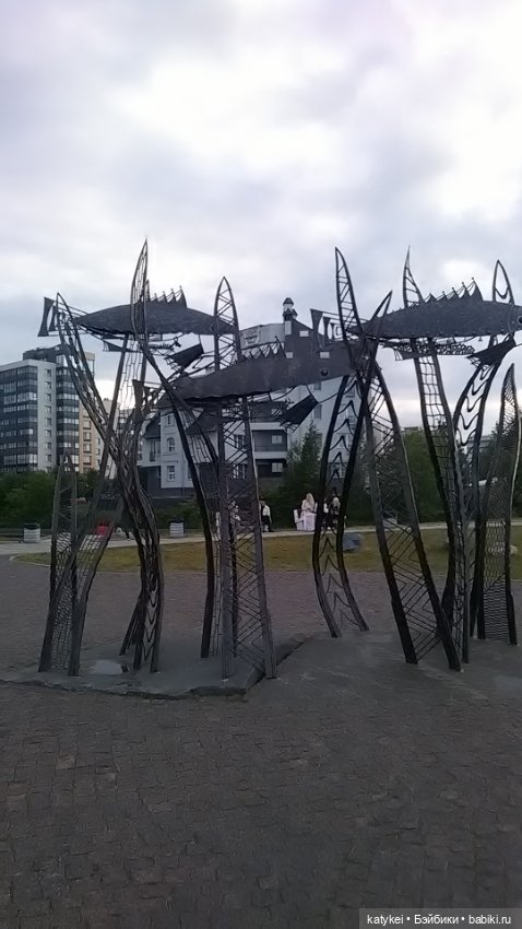 Рыбы есть? А если найду? Гром в День Города