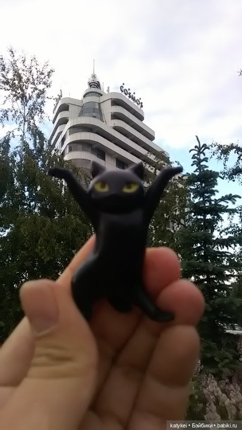 Рыбы есть? А если найду? Гром в День Города