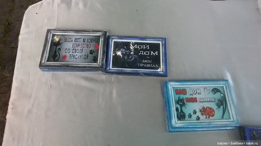 Рыбы есть? А если найду? Гром в День Города (фото 2)