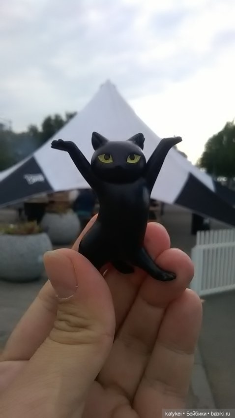 Рыбы есть? А если найду? Гром в День Города (фото 10)