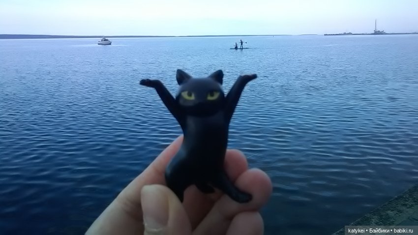 Рыбы есть? А если найду? Гром в День Города