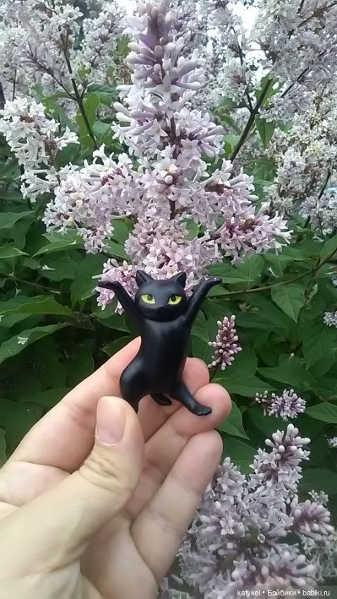 Рыбы есть? А если найду? Гром в День Города