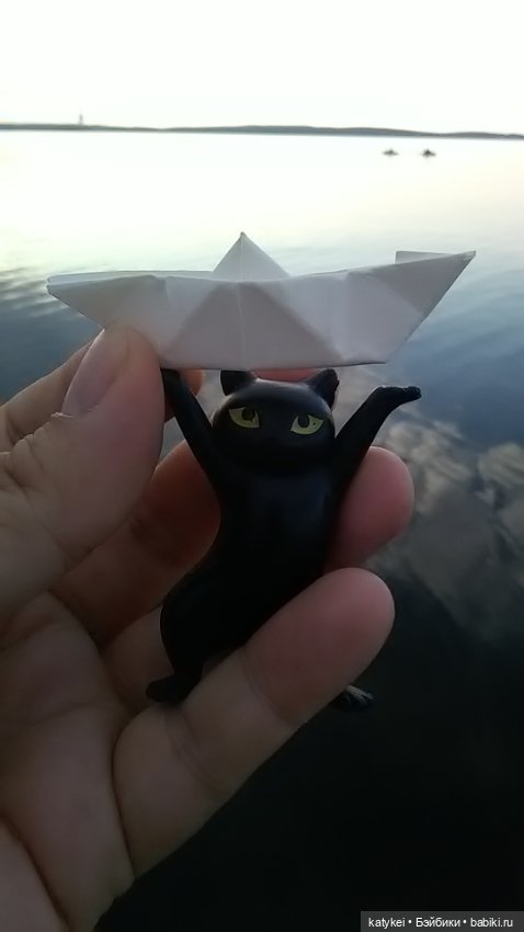 Рыбы есть? А если найду? Гром в День Города