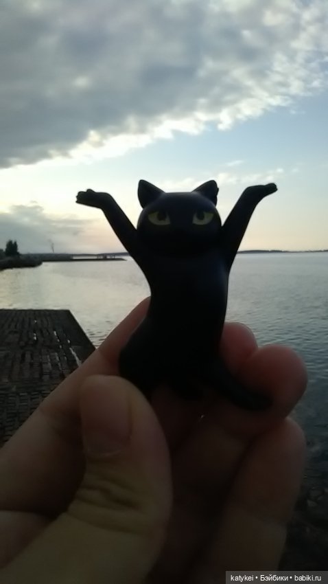 Рыбы есть? А если найду? Гром в День Города