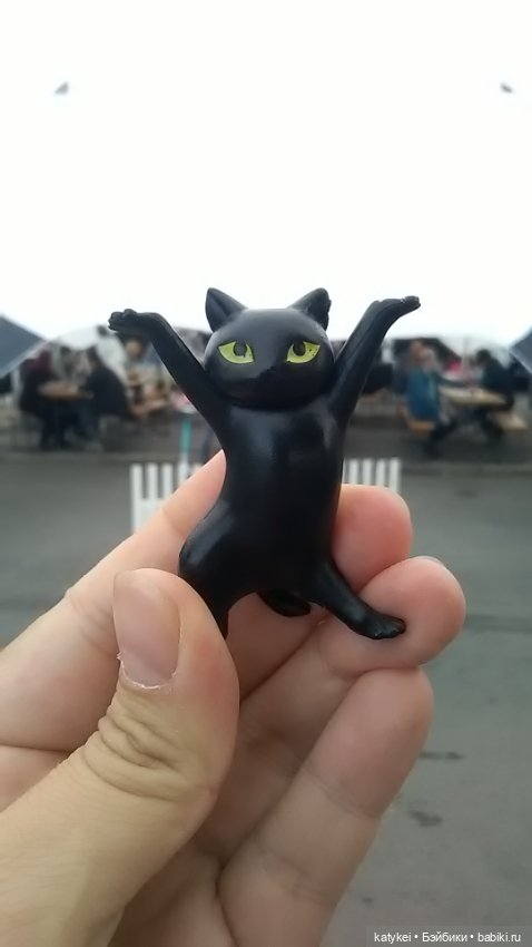 Рыбы есть? А если найду? Гром в День Города