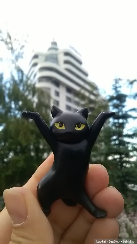 Рыбы есть? А если найду? Гром в День Города