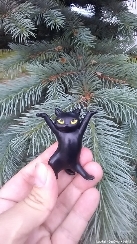 Рыбы есть? А если найду? Гром в День Города