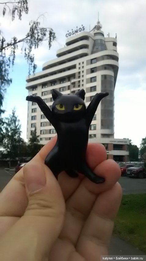 Рыбы есть? А если найду? Гром в День Города