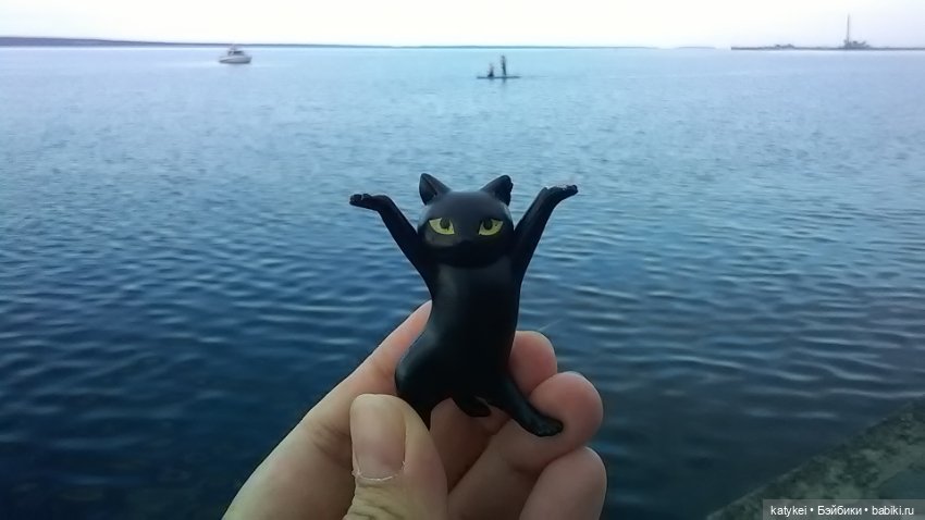 Рыбы есть? А если найду? Гром в День Города