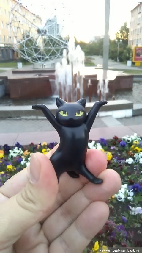 Рыбы есть? А если найду? Гром в День Города