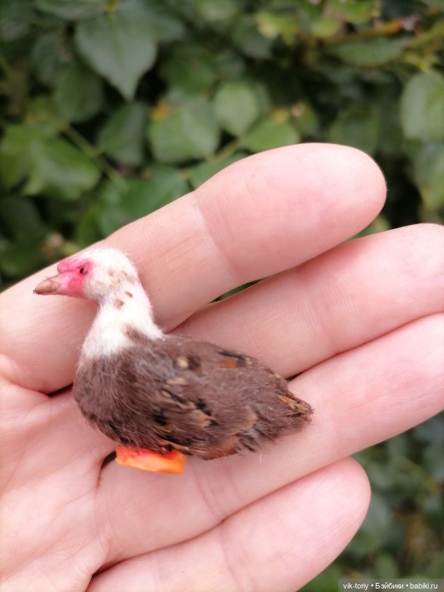 Птички в миниатюре 1:12 — Кукольная миниатюра своими руками: еда