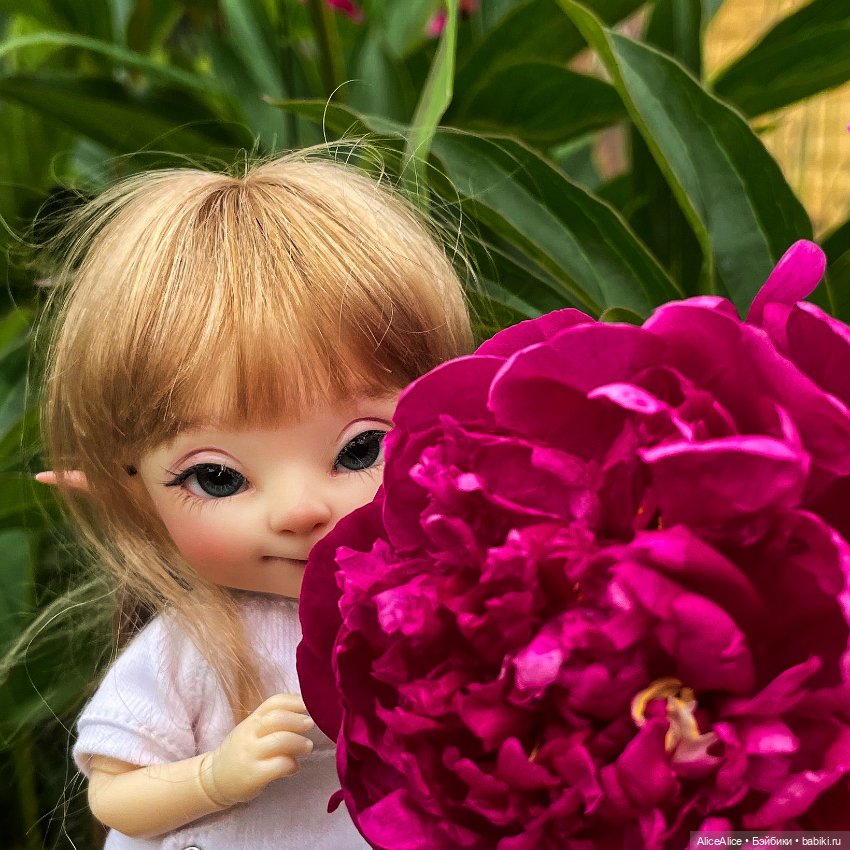 Пионно-летнее — Куклы Fairyland (ФэйриЛэнд): BJD (БЖД) (фото 7)