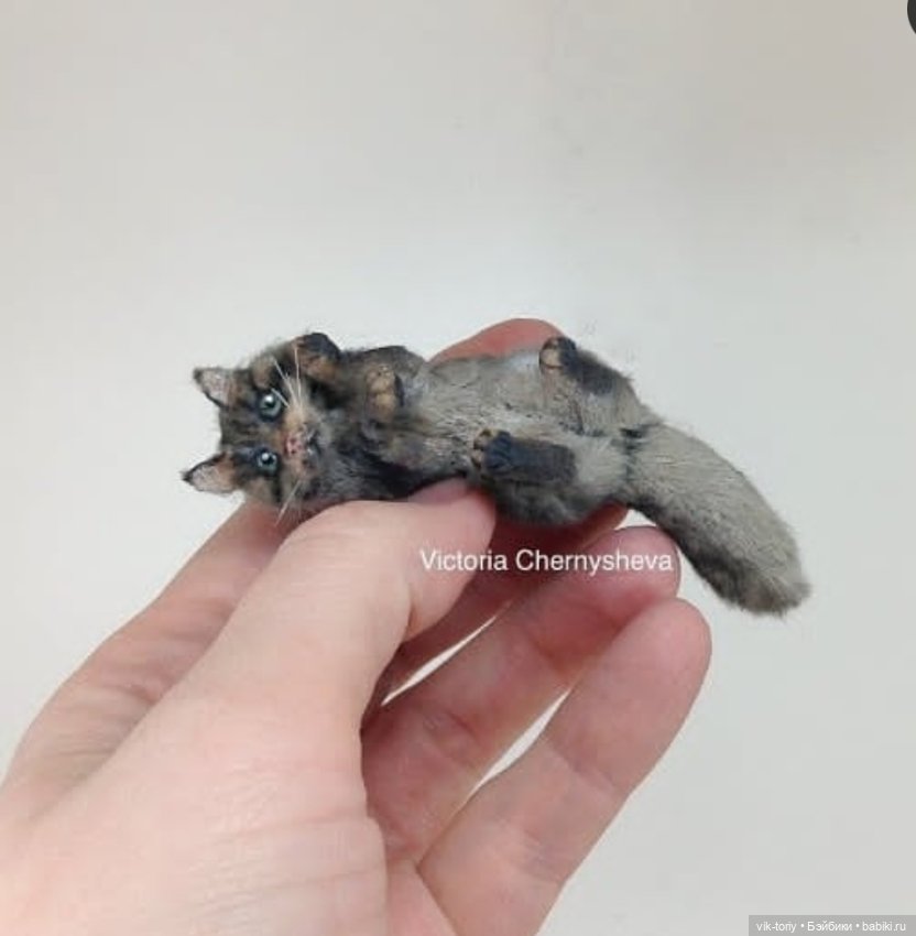 Миниатюрные котики 🐱 — Кукольная миниатюра своими руками: еда