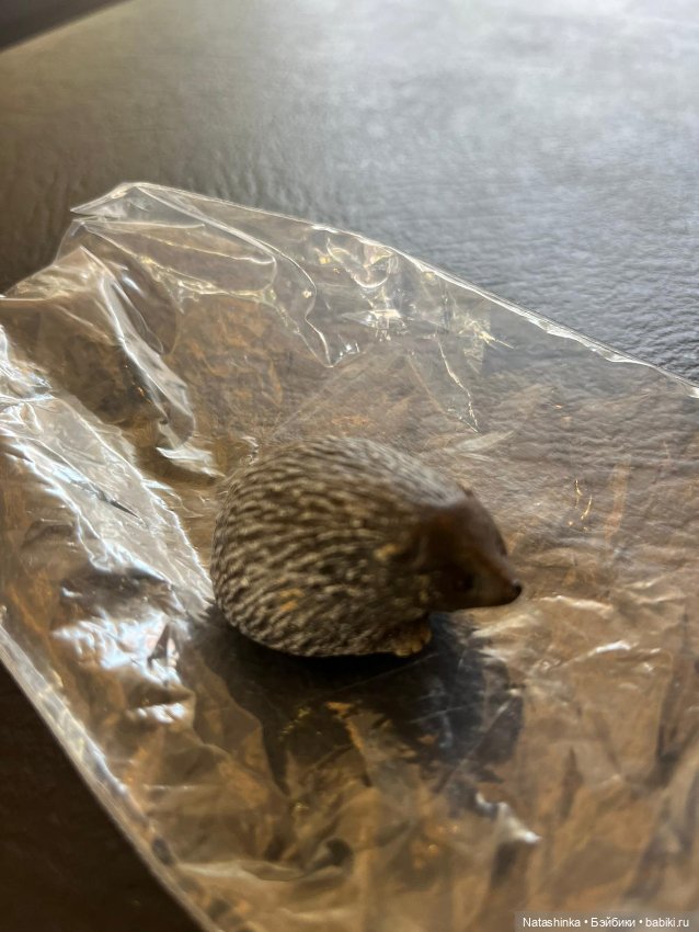 Fashion Dolls 516 — Туризм и путешествия: фотоотчеты из поездок