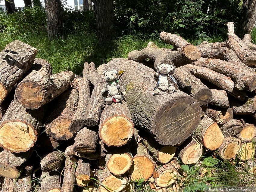 Fashion Dolls 516 — Туризм и путешествия: фотоотчеты из поездок (фото 6)