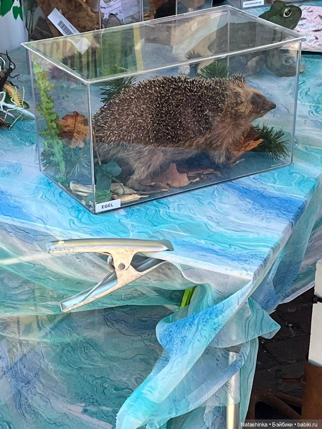 Fashion Dolls 516 — Туризм и путешествия: фотоотчеты из поездок