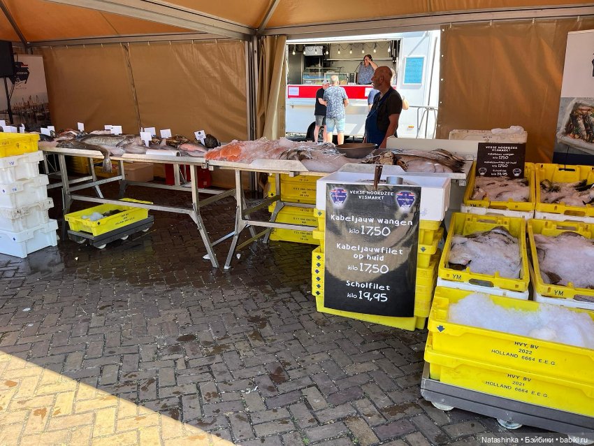 Fashion Dolls 516 — Туризм и путешествия: фотоотчеты из поездок