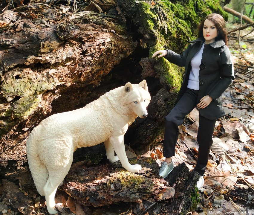 В наш лес приехал новый лесник (фото 7)