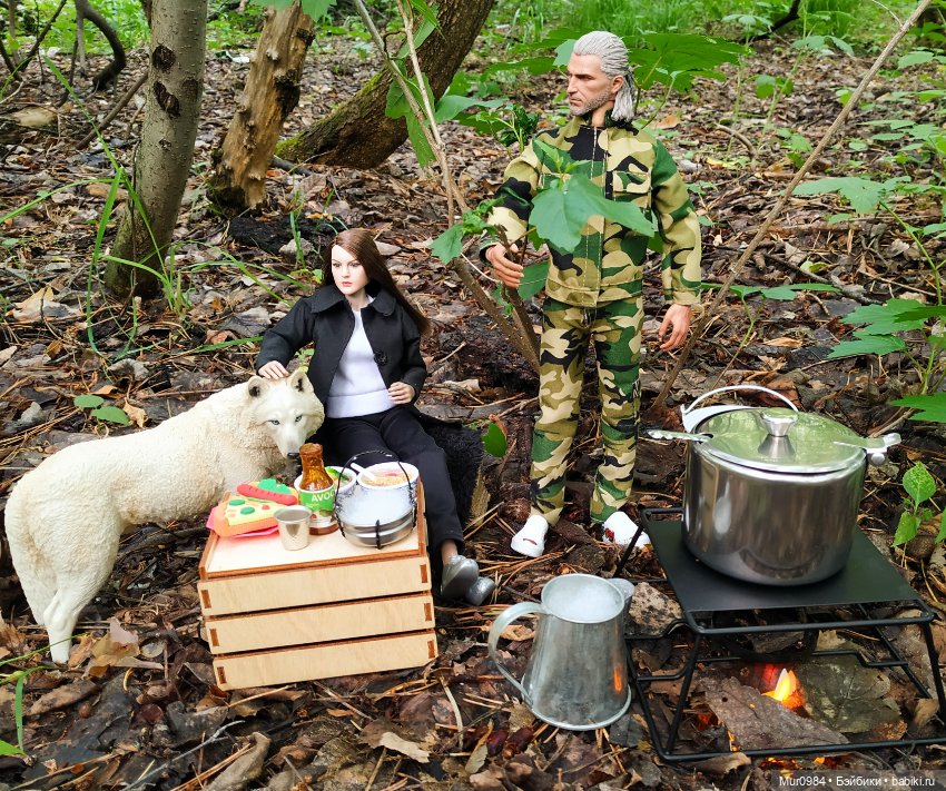 В наш лес приехал новый лесник