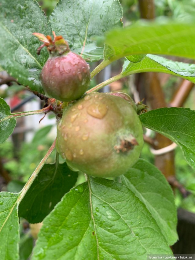 … И снова дождь… — ООАК Paola Reina (Паола Рейна) и испанских кукол: перерисовка (фото 6)