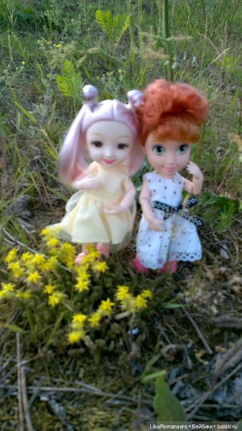 Поход на горный склон у рощи (фото 4)