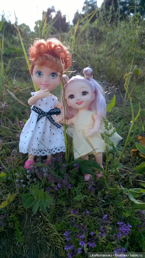 Поход на горный склон у рощи (фото 10)