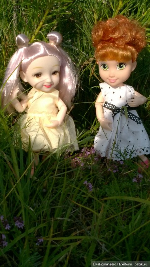 Поход на горный склон у рощи (фото 3)